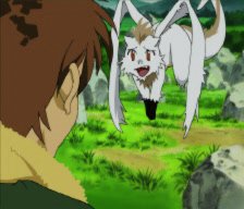 Nall Animation NALL